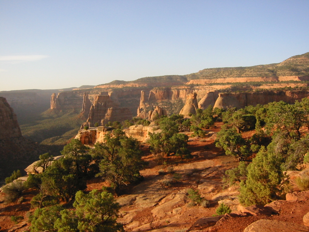 Fruita Co